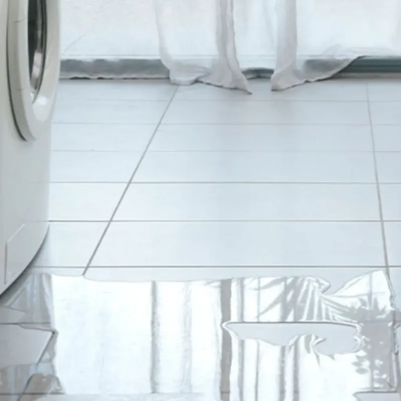 Appliance Leak Cleanup in Bonner Springs, KS