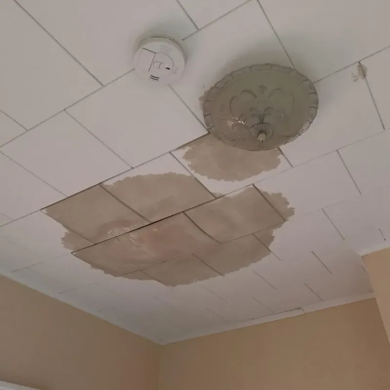 Ceiling Water Damage Repair in Bonner Springs, KS