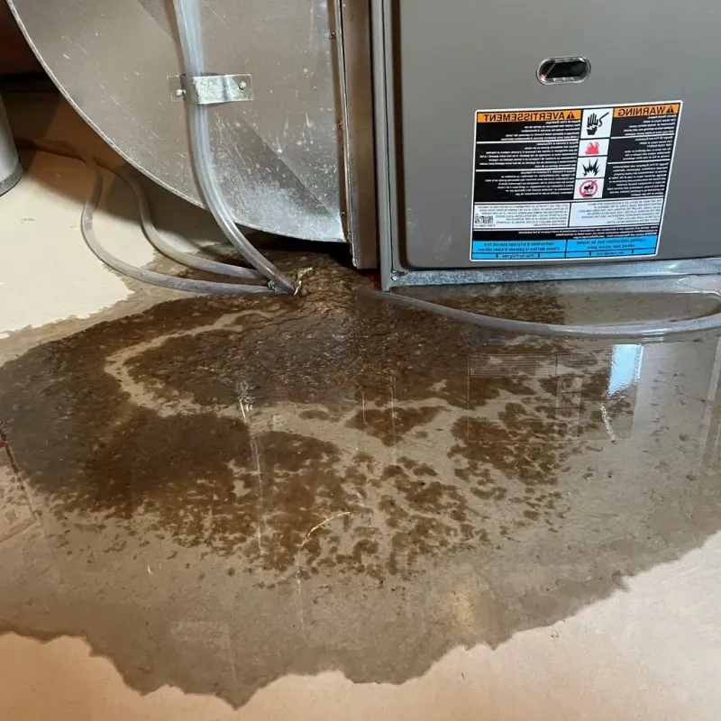 Pipe Burst and Leak Restoration in Bonner Springs, KS
