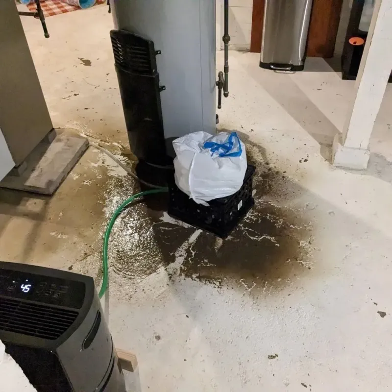 Sewage Backup Cleanup Service in Bonner Springs, KS